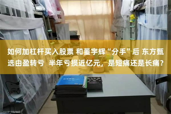 如何加杠杆买入股票 和董宇辉“分手”后 东方甄选由盈转亏  半年亏损近亿元，是短痛还是长痛？