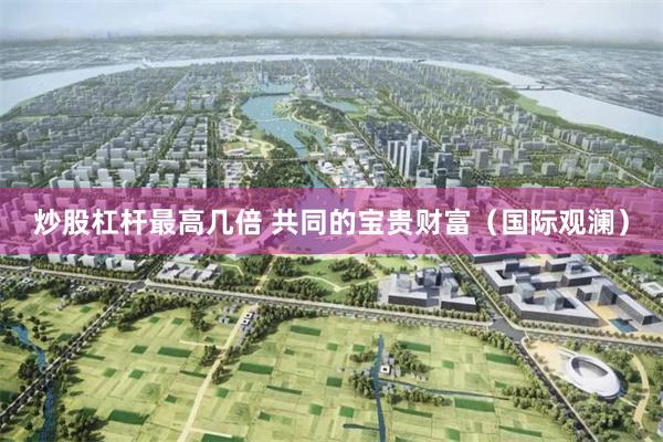 炒股杠杆最高几倍 共同的宝贵财富（国际观澜）