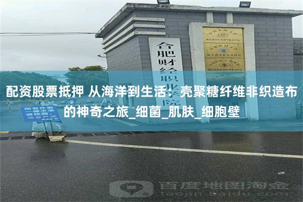 配资股票抵押 从海洋到生活：壳聚糖纤维非织造布的神奇之旅_细菌_肌肤_细胞壁