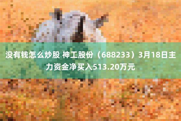 没有钱怎么炒股 神工股份（688233）3月18日主力资金净买入513.20万元