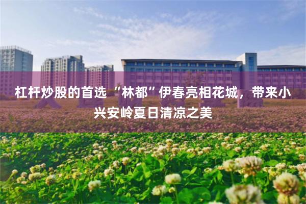 杠杆炒股的首选 “林都”伊春亮相花城，带来小兴安岭夏日清凉之美