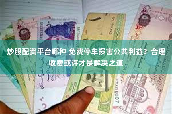炒股配资平台哪种 免费停车损害公共利益？合理收费或许才是解决之道
