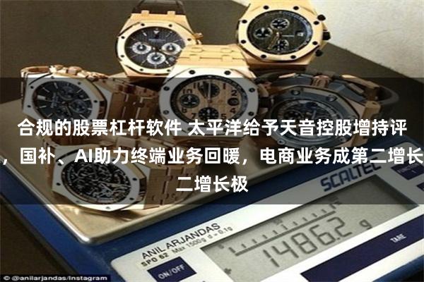 合规的股票杠杆软件 太平洋给予天音控股增持评级，国补、AI助力终端业务回暖，电商业务成第二增长极
