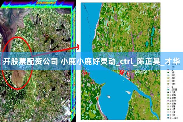 开股票配资公司 小鹿小鹿好灵动_ctrl_陈正昊_才华