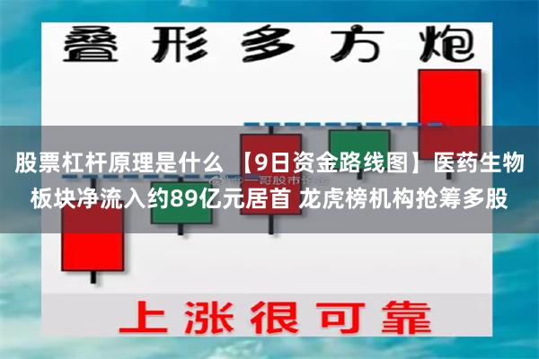 股票杠杆原理是什么 【9日资金路线图】医药生物板块净流入约89亿元居首 龙虎榜机构抢筹多股