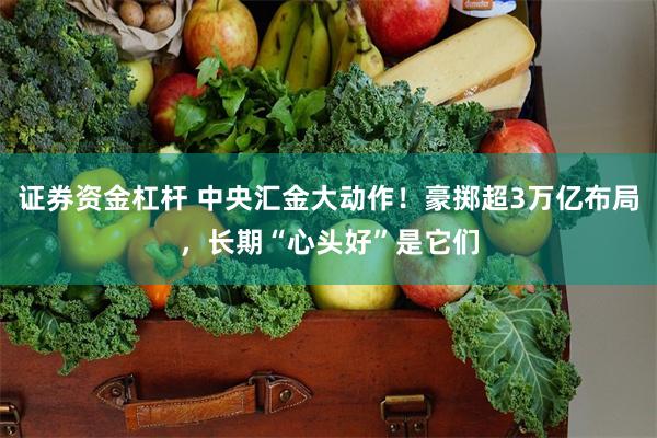 证券资金杠杆 中央汇金大动作！豪掷超3万亿布局，长期“心头好”是它们