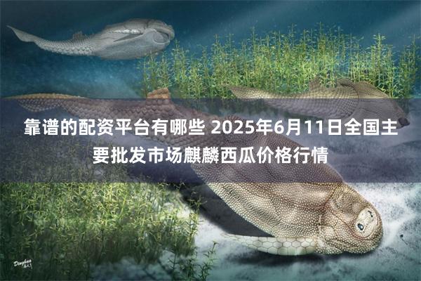 靠谱的配资平台有哪些 2025年6月11日全国主要批发市场麒麟西瓜价格行情