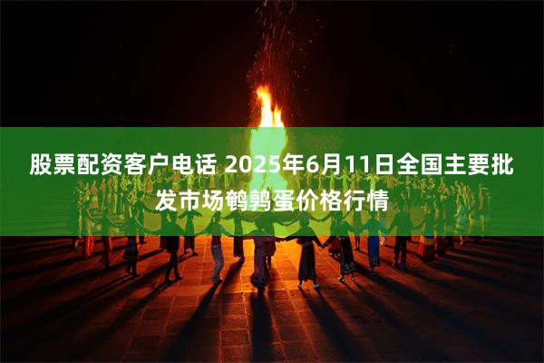 股票配资客户电话 2025年6月11日全国主要批发市场鹌鹑蛋价格行情