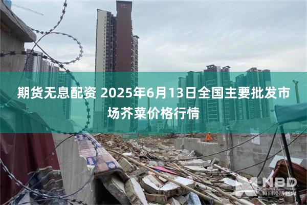 期货无息配资 2025年6月13日全国主要批发市场芥菜价格行情