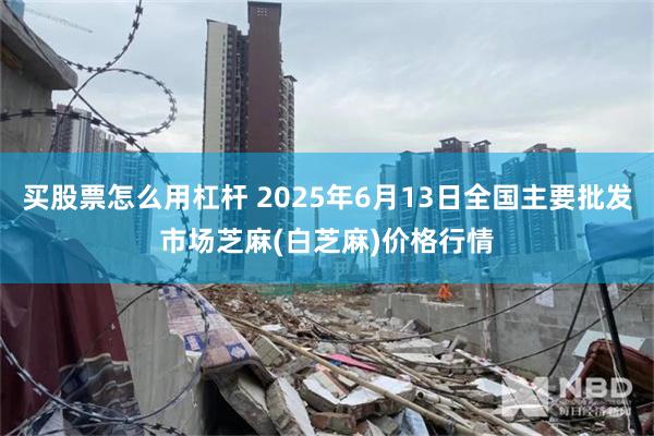 买股票怎么用杠杆 2025年6月13日全国主要批发市场芝麻(白芝麻)价格行情