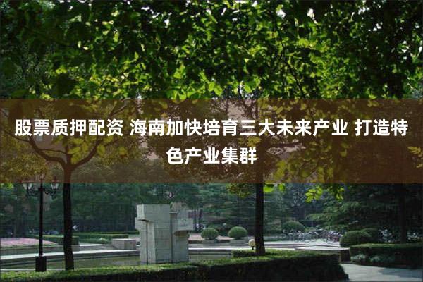股票质押配资 海南加快培育三大未来产业 打造特色产业集群