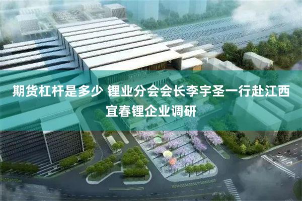 期货杠杆是多少 锂业分会会长李宇圣一行赴江西宜春锂企业调研