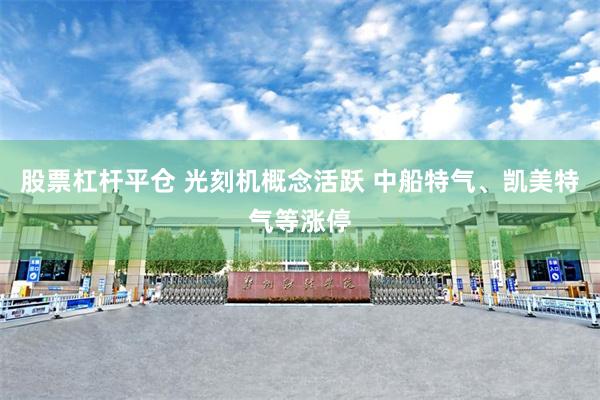 股票杠杆平仓 光刻机概念活跃 中船特气、凯美特气等涨停