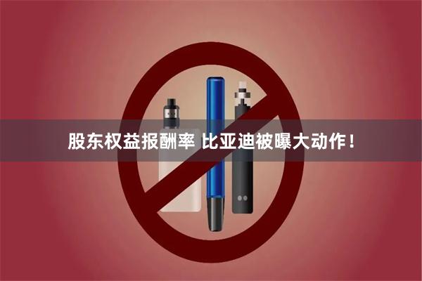 股东权益报酬率 比亚迪被曝大动作！